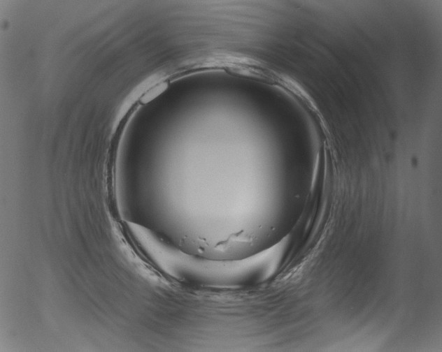 X0000056371138200508291354