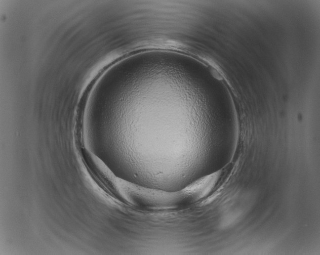 X0000056371139200508291354