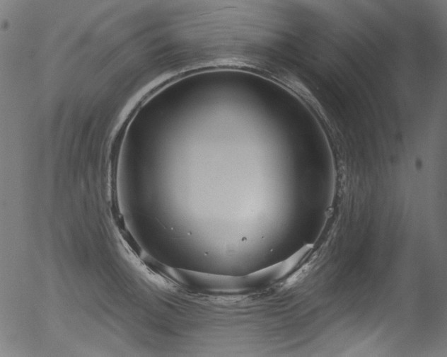 X0000056371140200508291354