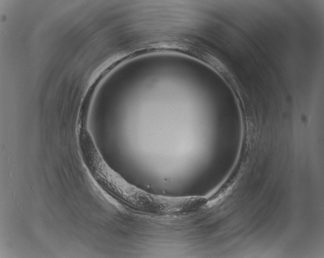 X0000056371141200508291354