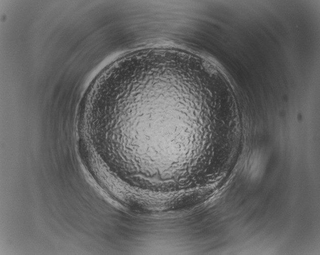 X0000056371142200508291354