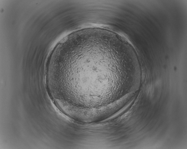 X0000056371143200508291354