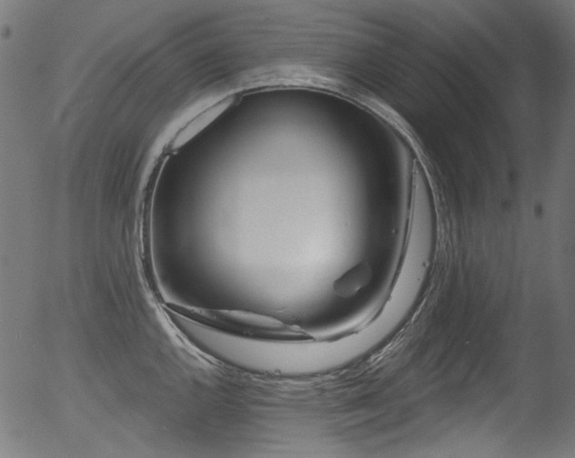 X0000056371144200508291354