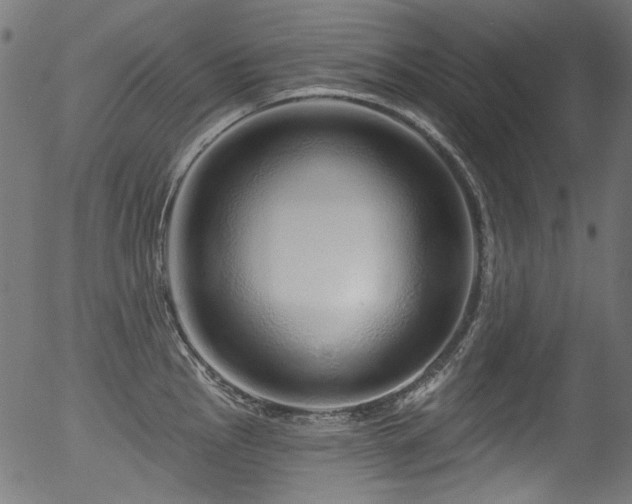 X0000056371145200508291354