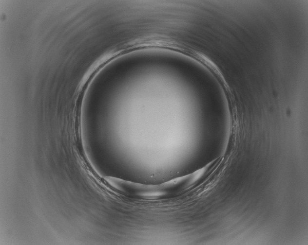 X0000056371146200508291354