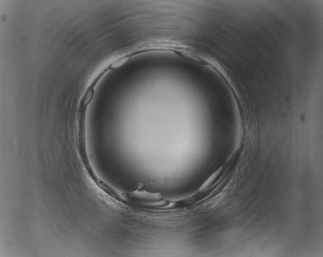 X0000056371147200508291354