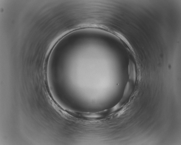 X0000056371148200508291354