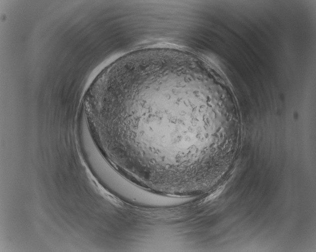 X0000056371149200508291354