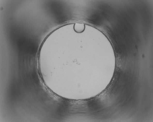 X0000056371150200508291354