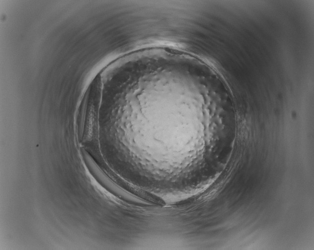 X0000056371151200508291354