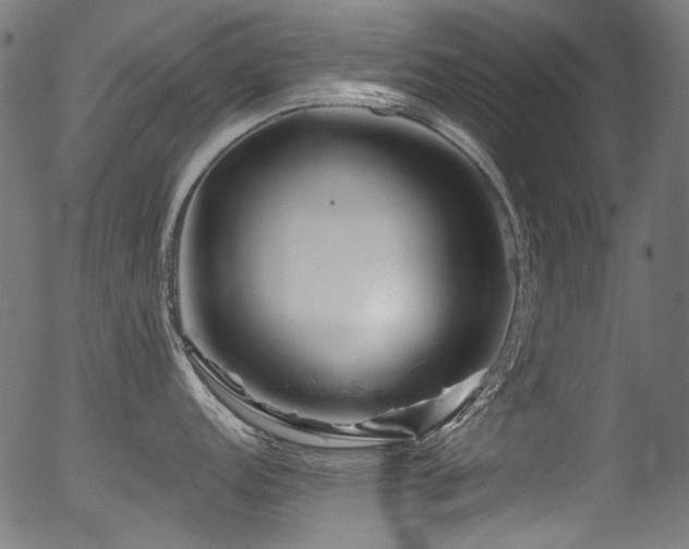 X0000056371152200508291354