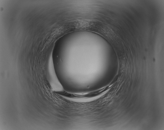 X0000056371153200508291353