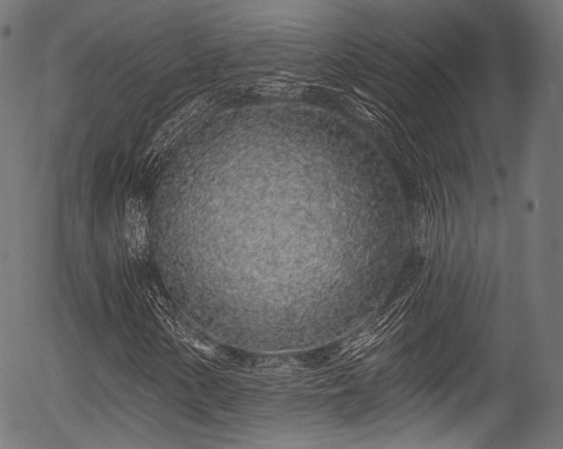 X0000056371154200508291353