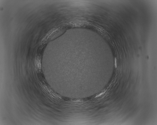 X0000056371155200508291353