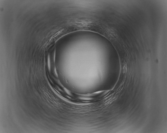 X0000056371156200508291353