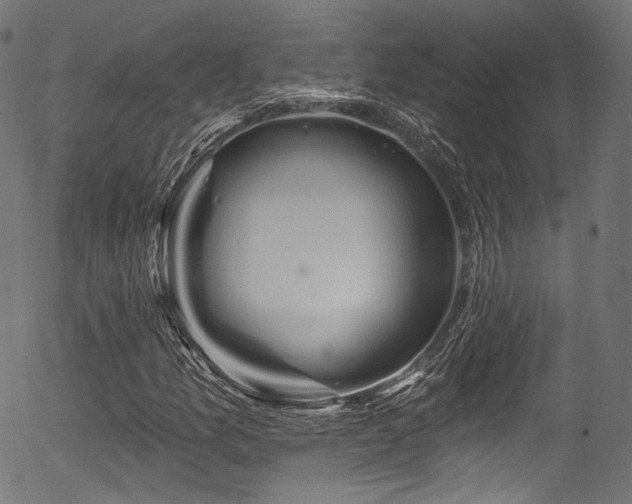 X0000056371157200508291353