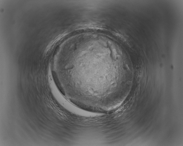 X0000056371159200508291353