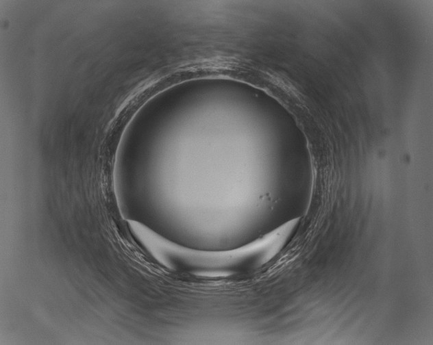 X0000056371160200508291353