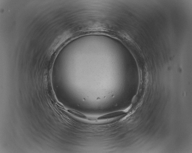 X0000056371162200508291353