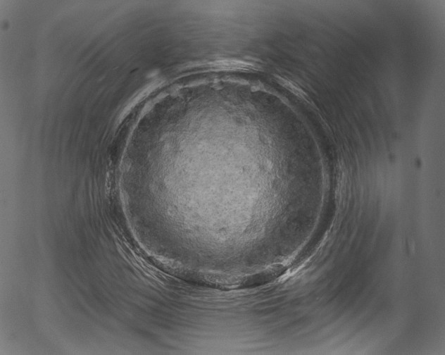 X0000056371163200508291353