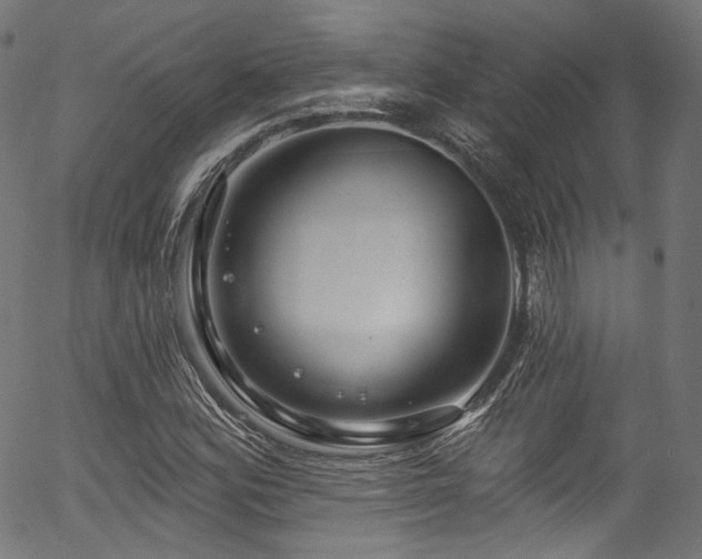 X0000056371164200508291353