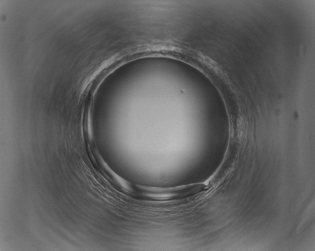 X0000056371165200508291353