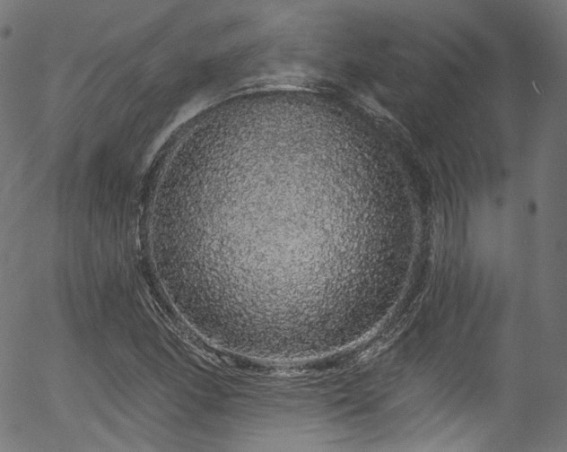 X0000056371166200508291353