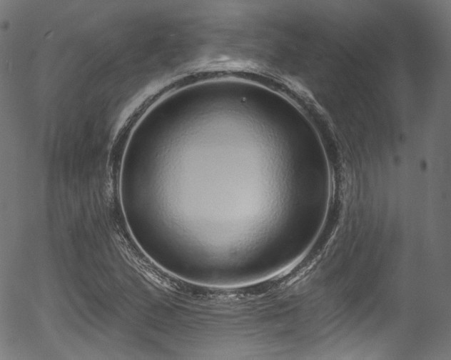 X0000056371167200508291353