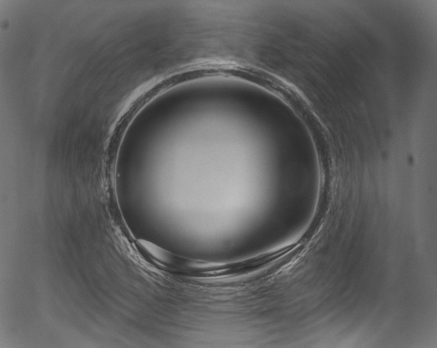 X0000056371168200508291353