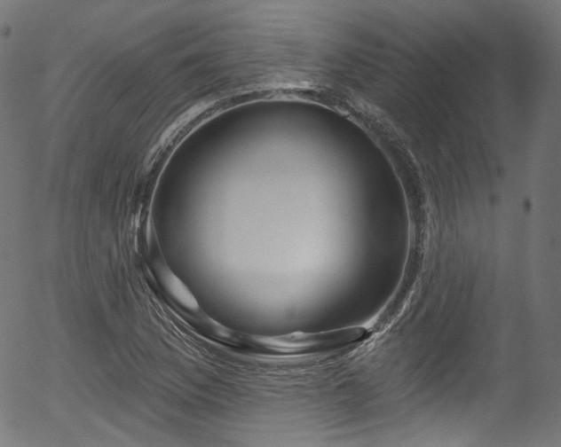 X0000056371169200508291353