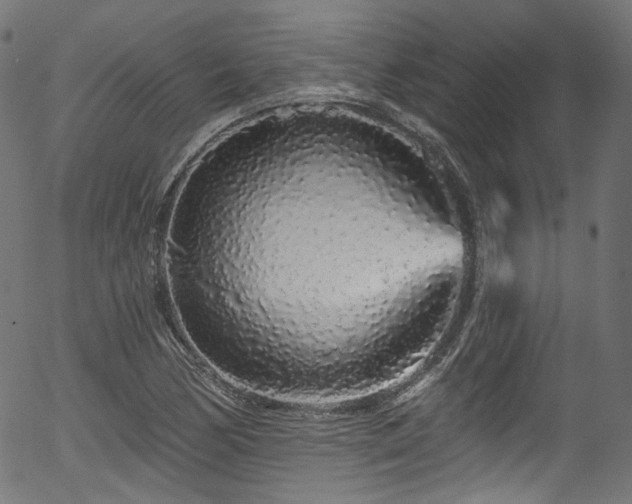 X0000056371170200508291353