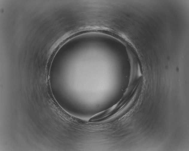 X0000056371173200508291353