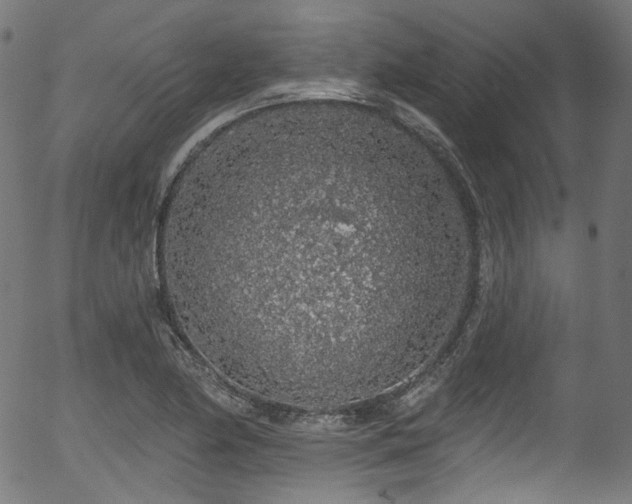 X0000056371174200508291353