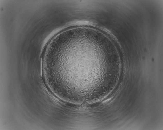 X0000056371175200508291353