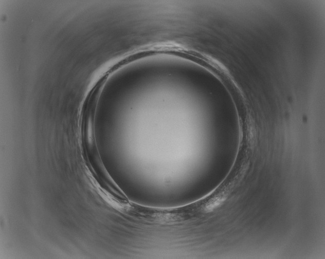 X0000056371176200508291353