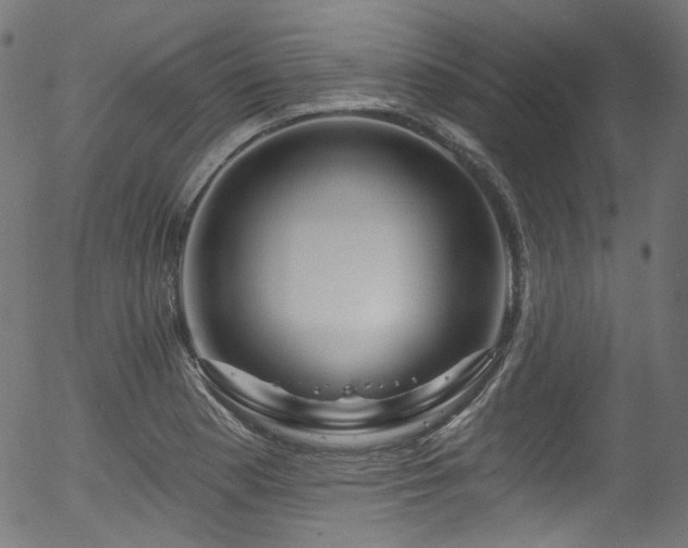 X0000056371177200508291353