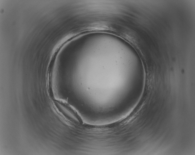 X0000056371179200508291353