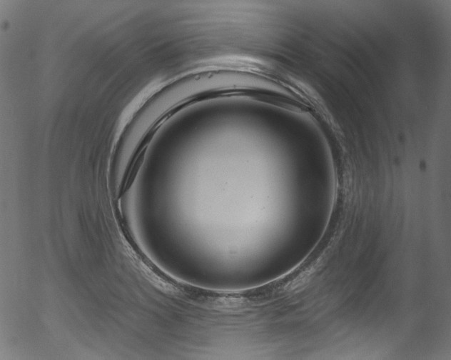 X0000056371180200508291353