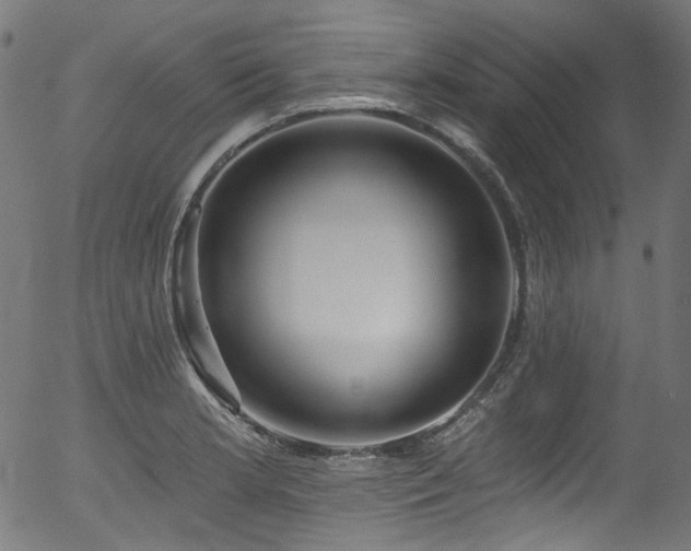 X0000056371181200508291353