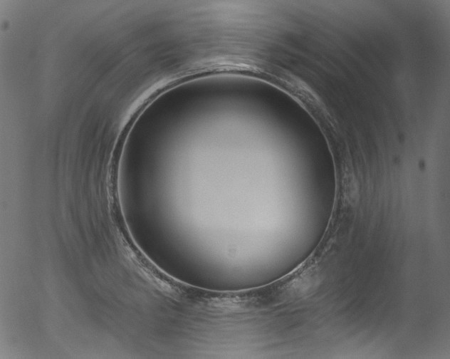 X0000056371182200508291353