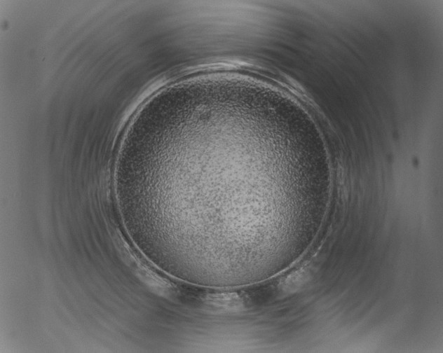 X0000056371186200508291353