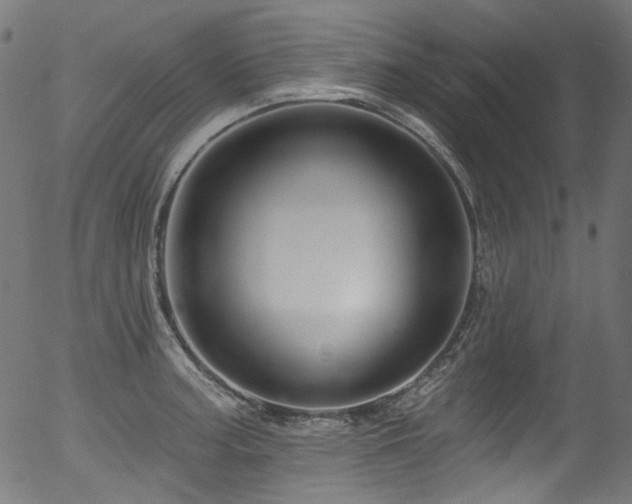 X0000056371187200508291353