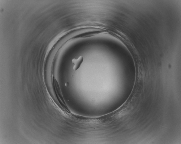 X0000056371188200508291353