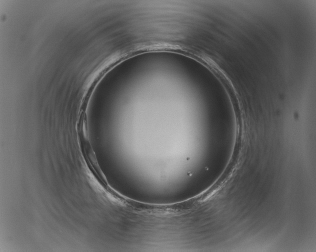 X0000056371189200508291353