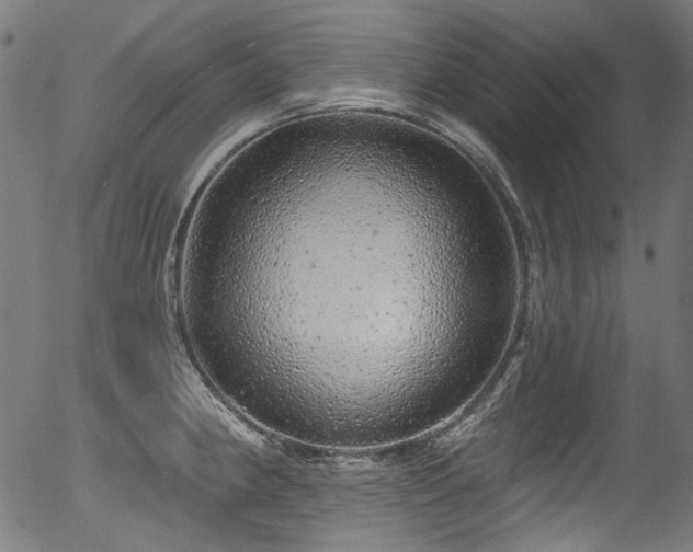 X0000056371190200508291353