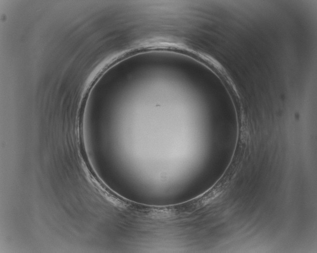 X0000056371191200508291353