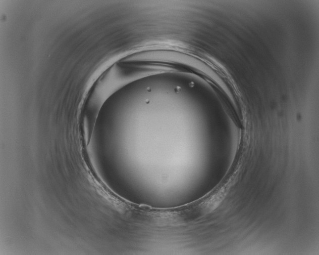 X0000056371192200508291353