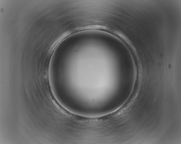 X0000056371193200508291352