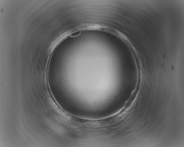 X0000056371194200508291352