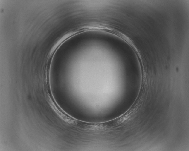 X0000056371195200508291352